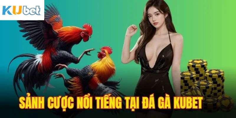 Một số ưu điểm vượt trội có ở sân chơi đá gà Kubet